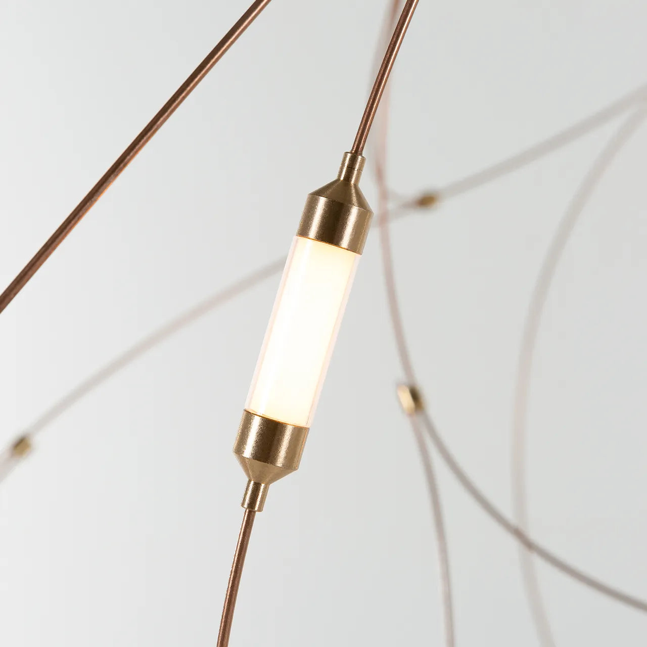 Flock of Light 21
