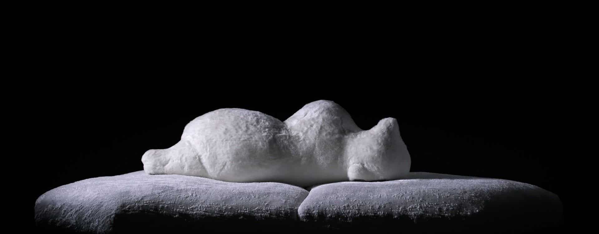 Pack Sofa
