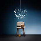 Heracleum lampe