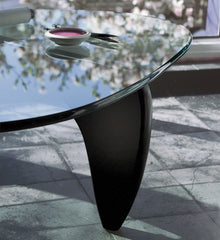 Noguchi Coffee Table