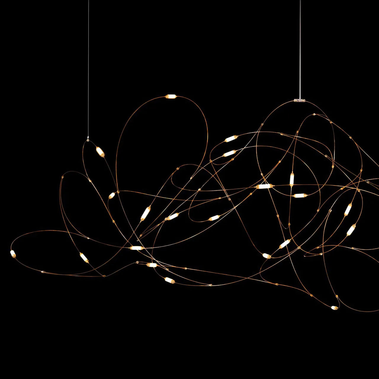 Flock of Light 31