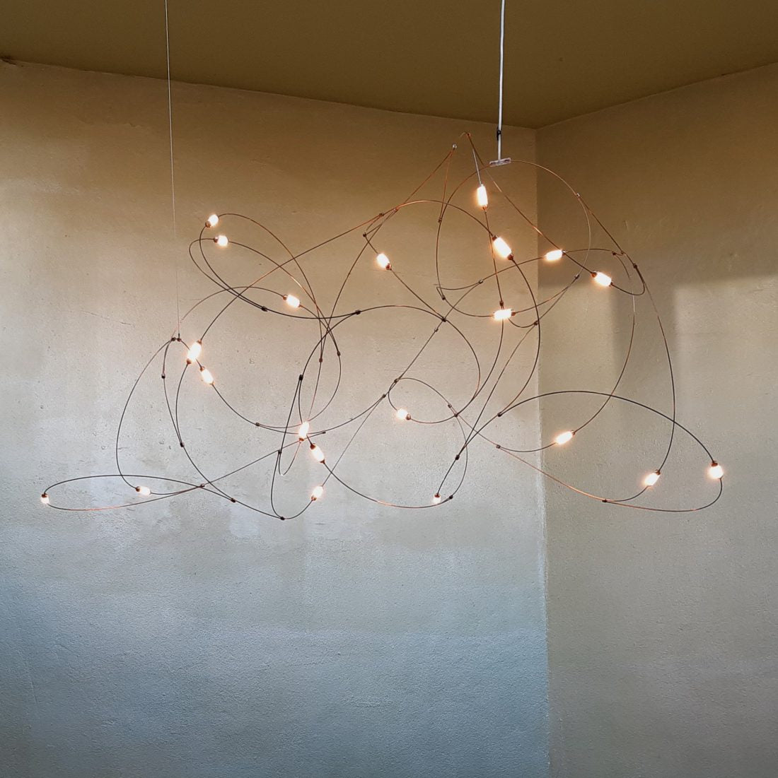 Flock of Light 21