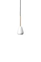 Anoli 1 pendel