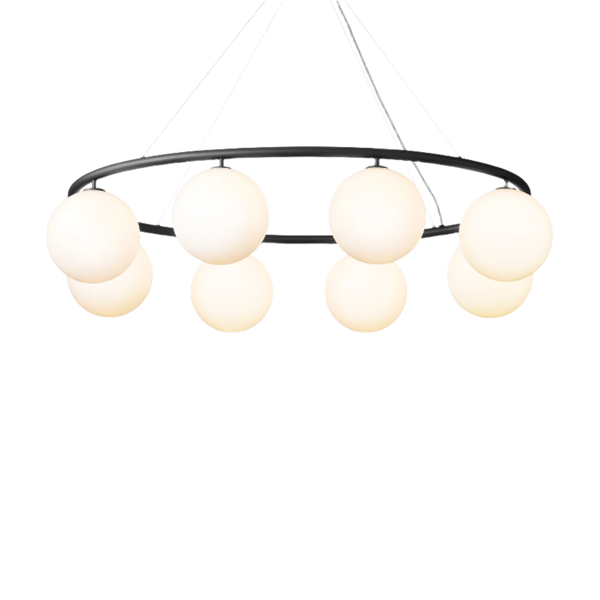 Miira Oval 8