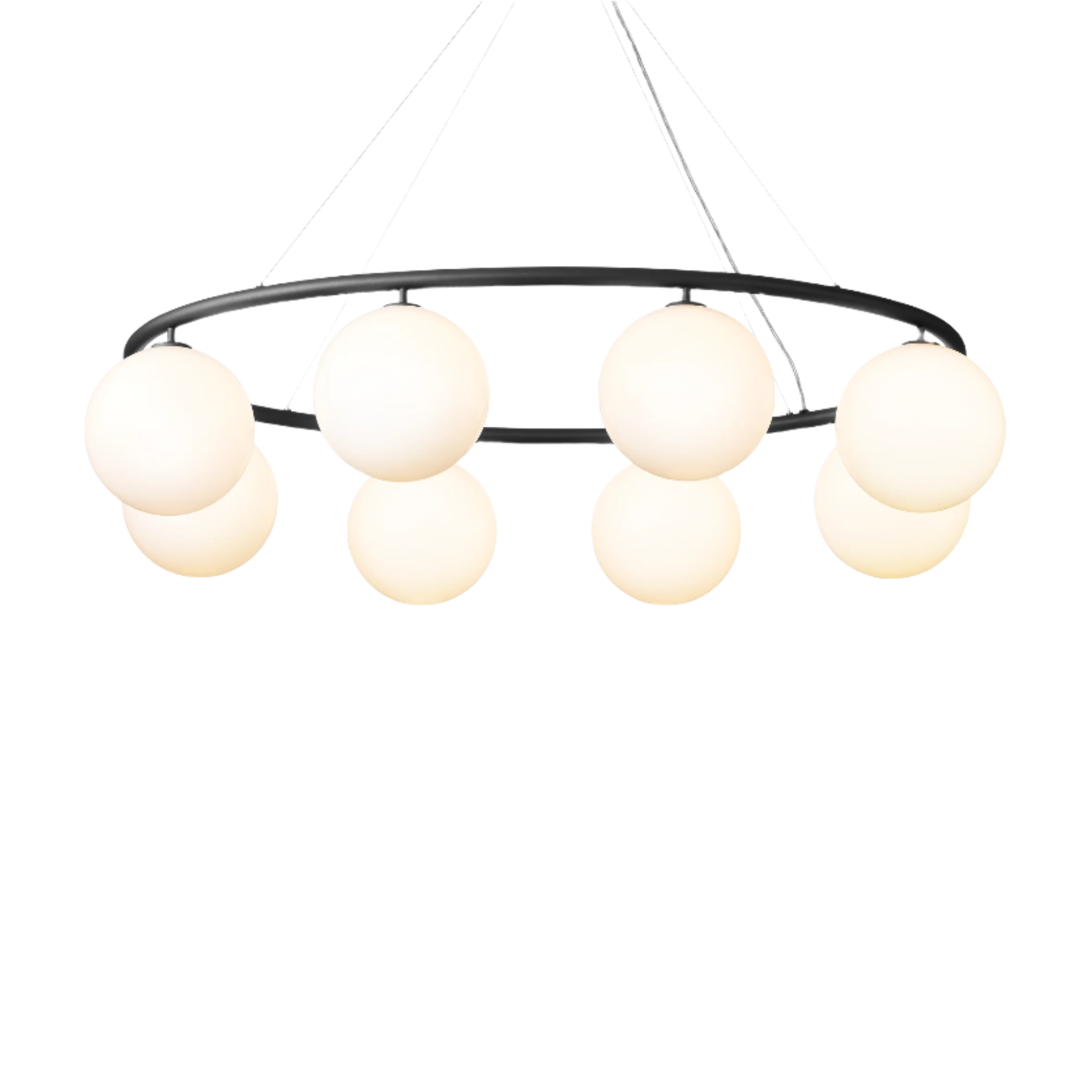 Miira Oval 8
