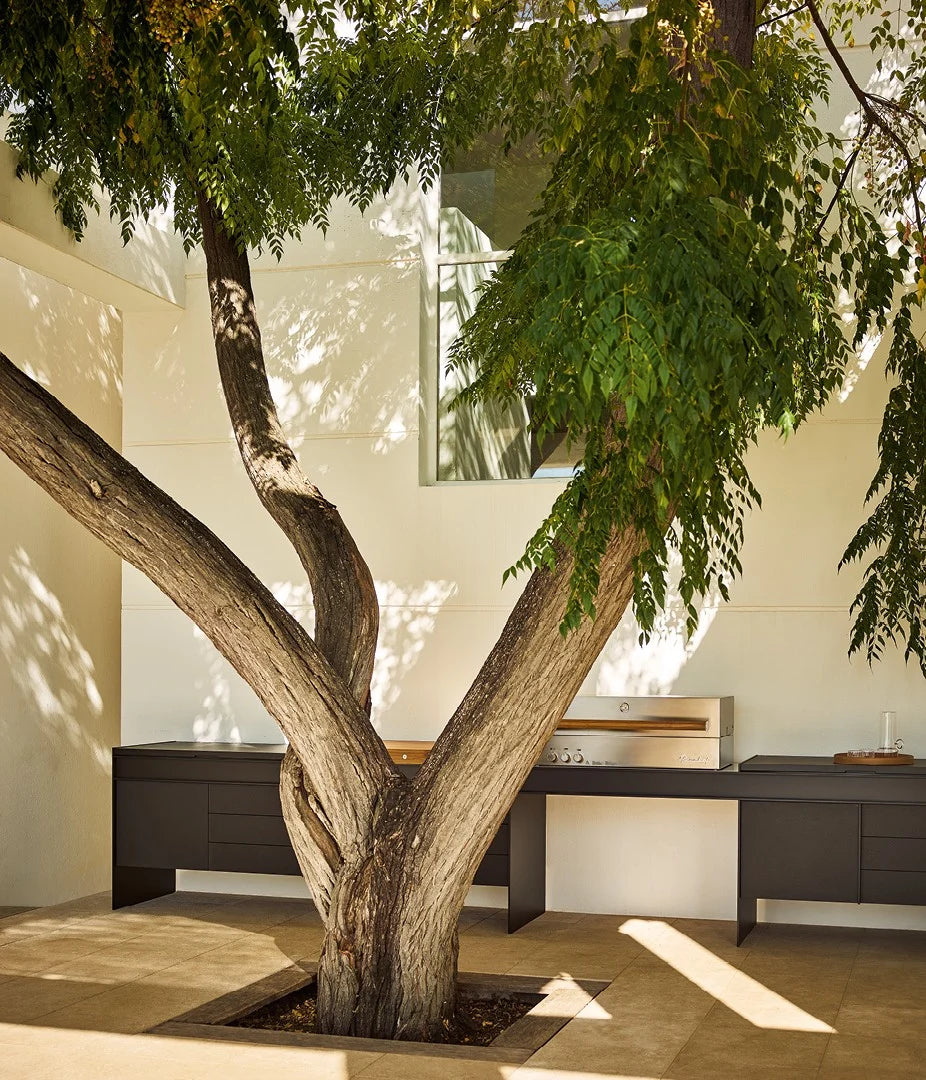 Land Kitchen
