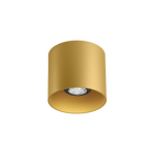 Ray 1.0 PAR16