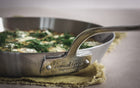 Stainless Steel Stekepanne