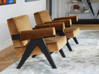Capitol Complex Loungestol