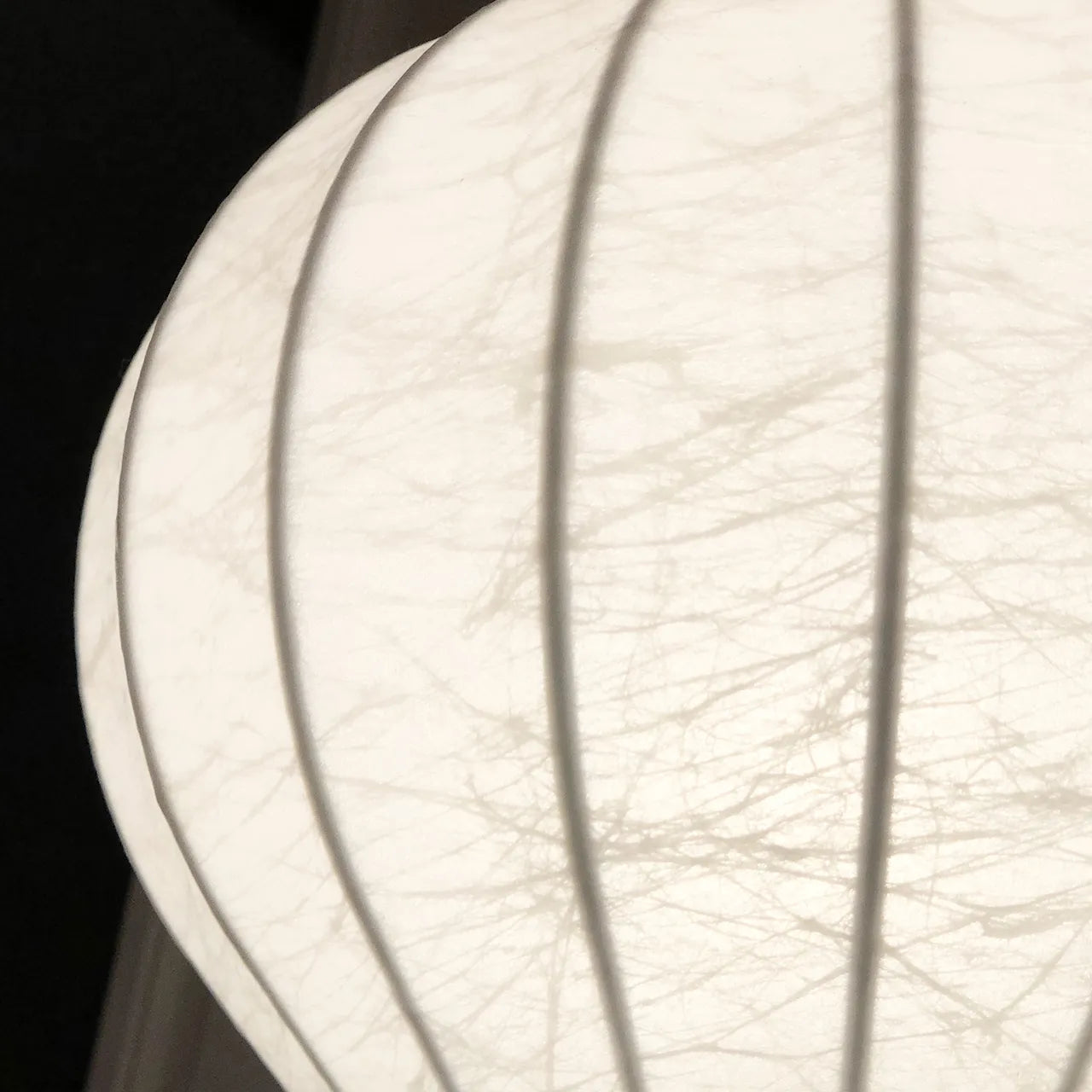 Gatto Bordlampe