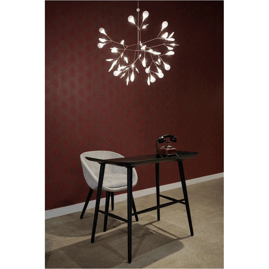 Heracleum Moooi